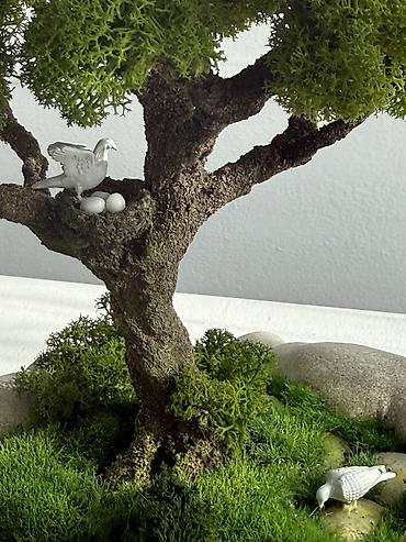 Декоративные цветы: Деревья-бонсай из натурального стабилизированного мха🌳 -это — 60