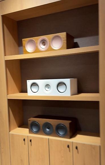 Динамики и колонки: KEF, TANNOY. FOCAL, B&W, və s Hi-Fi və High-End Akustik — 4