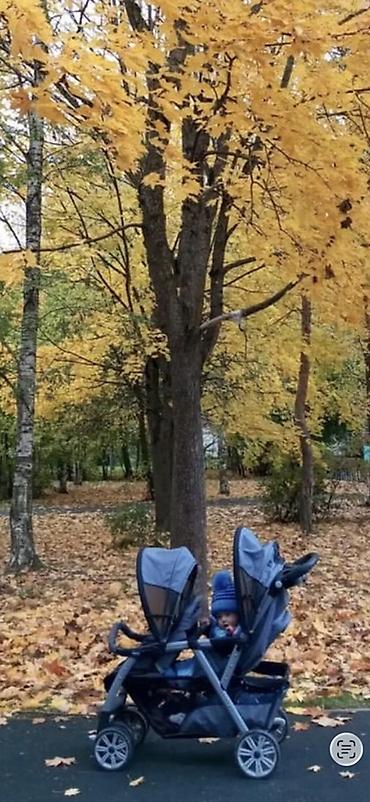 foo foo: Детская коляска для двойни (тандем, сиденья друг за другом), серого — 1