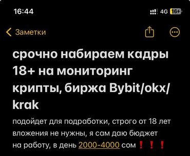 ищу работу удаленно без опыта: Срочно 🚨 Срочно 🚨 Работа онлайн график гибкий, от 2 до 8 часов в
