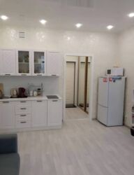 долгосрочные квартиры ак босого: Студия, Чогуу жашоосу жок, Толугу менен эмереги бар