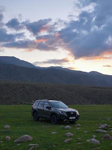wilderness: Subaru Forester: 2022 г., 2.5 л, Бензин — 8