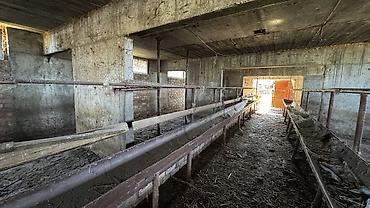 Продажа коттеджей и домов: СРОЧНО ПРОДАЕТСЯ ДОМ С САРАЕМ Месторасположение: с. Жаны-Жер (в 50км at lalafo.kg — 8 Продажа коттеджей и домов: СРОЧНО ПРОДАЕТСЯ ДОМ С САРАЕМ Месторасположение: с. Жаны-Жер (в 50км — 8