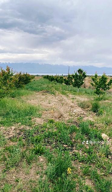 Продажа коттеджей и домов: Продаю дом на южном берегу Иссык Куля. Межда с селами Кара-Шаар и — 12