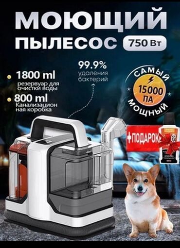 пылесос для влажной уборки: Чаң соргуч, Жуучу, Нымдуу, Контейнер, Суу чыпкасы