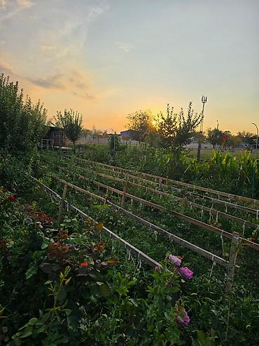 Продажа коттеджей и домов: Представляем дом, расположенный в тихом районе, идеально подходящий — 8