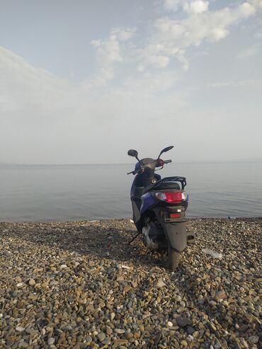 жесткий диск баку: - ZİG ZAG, 50 sm3, 2024 il, 1600 km