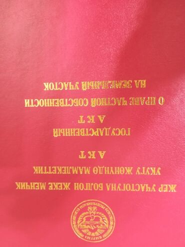 чон: 10 соток, Курулуш, Кызыл китеп, Сатып алуу-сатуу келишими
