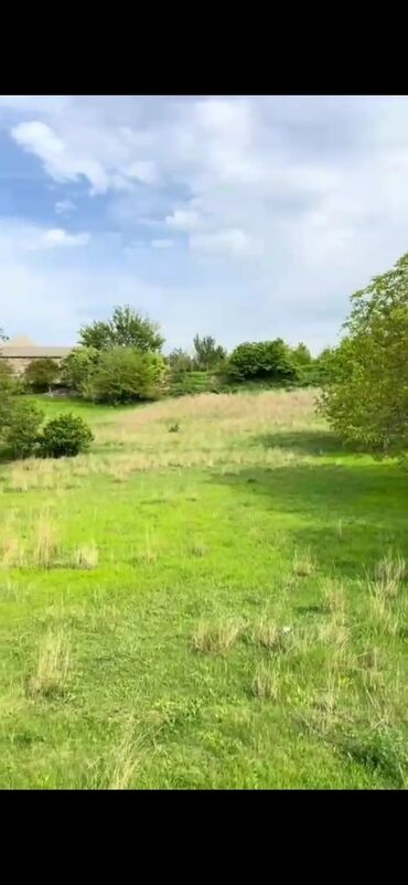 Torpaq sahələrinin satışı: 30 sot, Tikinti, Mülkiyyətçi, Texniki pasport -da lalafo.az — 4 Torpaq sahələrinin satışı: 30 sot, Tikinti, Mülkiyyətçi, Texniki pasport — 4