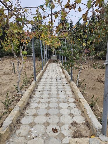 Bağ evlərinin satışı: Bakı, Nardaran qəs., 82 kv. m, 3 otaqlı, İnternet — 18