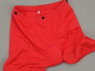 krótkie spodenki new yorker: Shorts for women, S (EU 36)