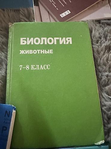 Спорт и хобби: Учебники — 4