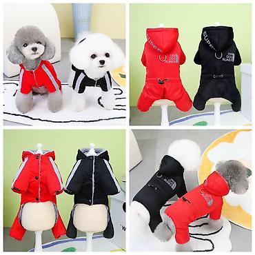 Зоотовары: Продаю игрушку/когтеточку/лежанку 3в1,с кошачей мятой,вашему котику — 15