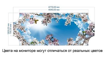 c 220: Монтаж потолков, Монтаж потолочных плинтусов Больше 6 лет опыта — 6