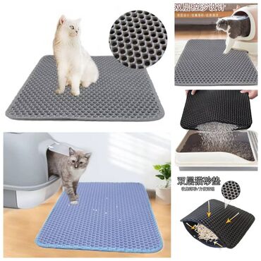 Зоотовары: ПРОДАЮ КОШАЧЬЮ МЯТУ(АНТИСТРЕСС),ПОРАДУЙТЕ СВОГО КОТИКА ТАКОЙ at lalafo.kg — 16 Зоотовары: ПРОДАЮ КОШАЧЬЮ МЯТУ(АНТИСТРЕСС),ПОРАДУЙТЕ СВОГО КОТИКА ТАКОЙ — 16