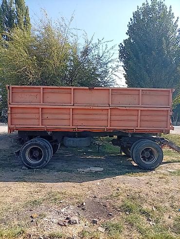 погрузчи: Двухосный прицеп-самосвал (зерновоз/универсальный), двухскатная — 3