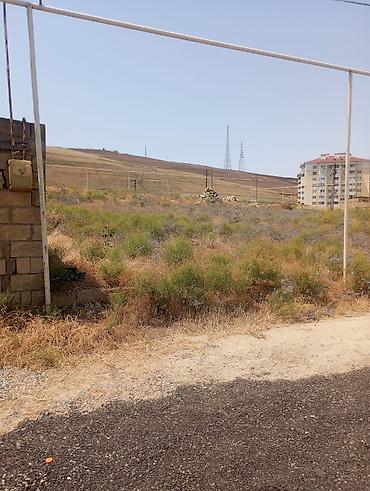 bine atciliqda: 3 sot, Biznes üçün, Maklerlər narahat etməsin, Bələdiyyə, Müqavilə — 4
