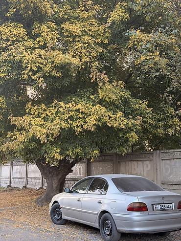 camry 2 2: Toyota Avensis: 2002 г., 2 л, Механика, Дизель, Седан — 8