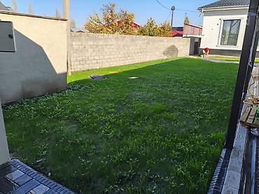 Строительство под ключ: Ландшафтные работы под ключ - Проектирование и обустройство участка — 6