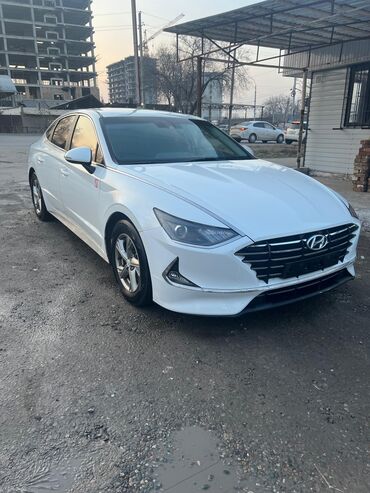 hyunday sonata: Hyundai Sonata: 2019 г., 2 л, Автомат, Газ, Седан