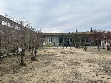 gence prospekti: Həyət evi və geniş torpaq sahəsi - Böyük həyət: tam daş hasarla — 2