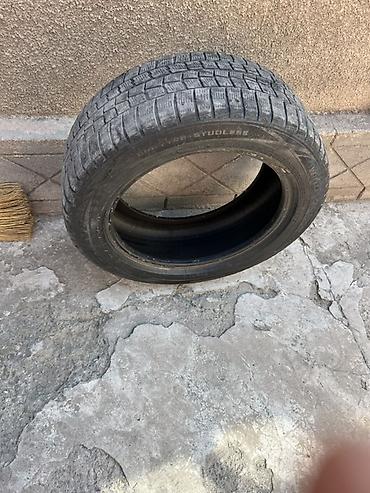 вдоль реки: Зимняя шина Dunlop (без шипов, Studless) - Размер: 225/55 R17 - — 1