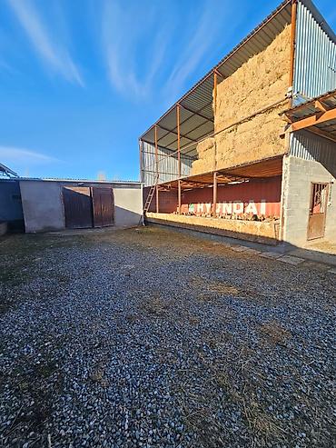 Продажа коттеджей и домов: 🔥🔥🔥Продается современный кошар с домом в селе Чокморов — 16