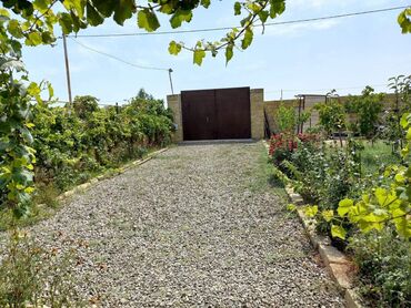 Bağ evlərinin satışı: Zeynalabdin Tağıyev, 90 kv. m, 3 otaqlı, Hovuzsuz — 12