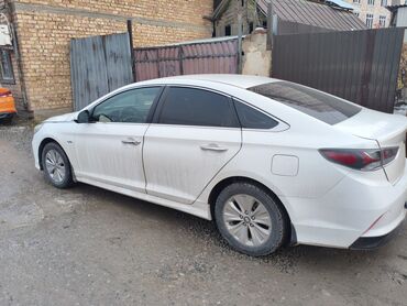 Hyundai: Hyundai Sonata: 2019 г., 2 л, Автомат, Гибрид, Седан — 5