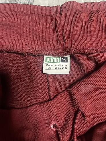 tn lime: Puma komplet trenerke – gornji deo i donji deo (US/CAN L, D 40, I/E/F — 2
