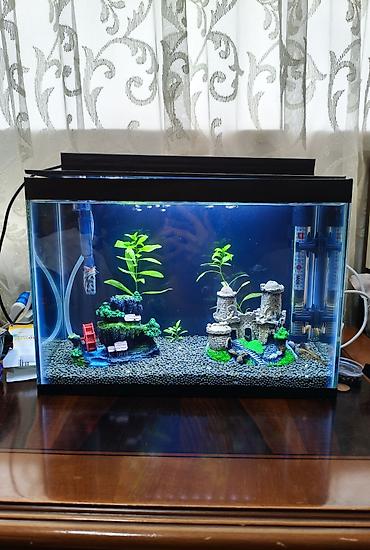 akvarium satisi: Dördbucaq akvarium, Boş, 14 l, Ödənişli çatdırılma — 4