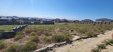 6 sot, Tikinti, Mülkiyyətçi