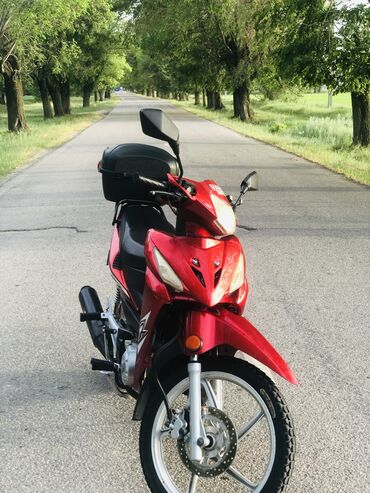 богажник рага: Скутеретта Honda, 50 куб. см, Бензин, Колдонулган