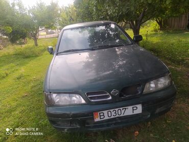 Nissan: Nissan Primera: 1.6 л, Механика, Бензин, Седан