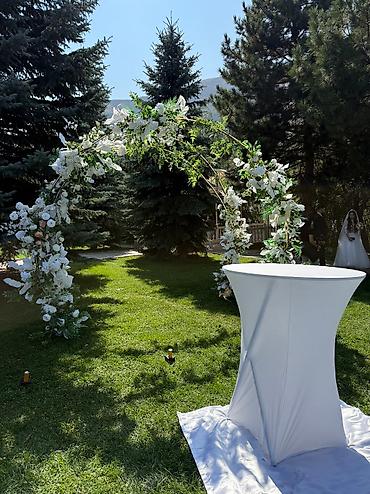 Другие услуги: Сдаём в аренду всё для вашего праздника! ✨ 	•	Прозрачные стулья и — 13