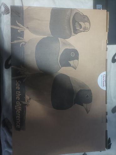 Мониторы: Монитор, ViewSonic, Б/у, 23" - 24" — 7