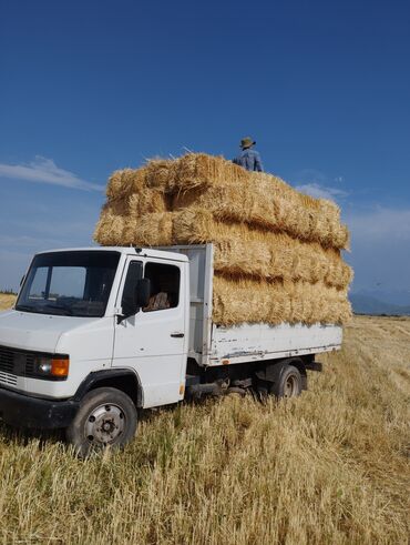 кератиновое выпрямление цена в Кыргызстан | ПАРИКМАХЕРЫ: Срочно продаю Солому ячменя большие весомые с доставкой по городу