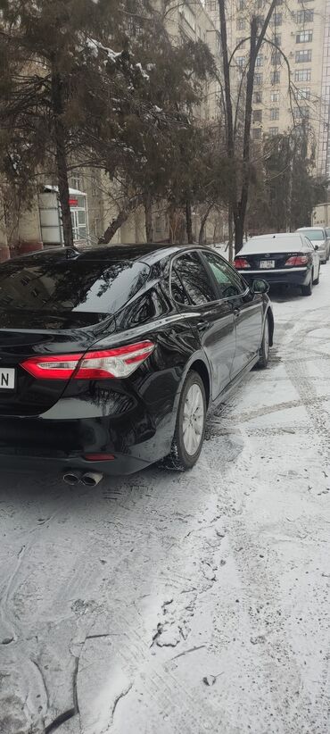 зимний: Toyota Camry: 2019 г., 2.5 л, Автомат, Бензин, Седан