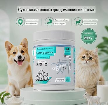 Животные: ПРОДАЮ НОВЫЕ СУМКИ ПЕРЕНОСКИ ДЛЯ КОШЕК И СОБАК,ОЧЕНЬ БОЛЬШОЙ ВЫБОР,А — 4