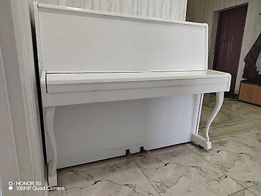 gitara akustik: Akkord upright piano – klassik ağ rəngdə, laklı örtük. - Korpus — 6