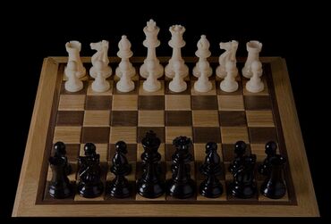Башка курстар: Детский тренер по шахматам Дети до 12-13 лет, Между 1 разрядом и кмс