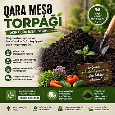 Bitki torpaqları: Qara torpaq – bağ, çəmənlik və landşaft işləri üçün Məhsul təsviri: - — 6