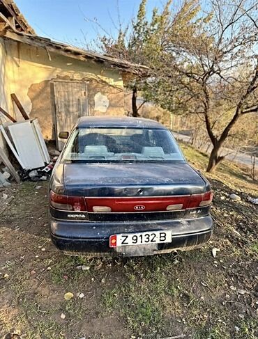 Kia: Kia Sephia: 1995 г., 1.6 л, Бензин