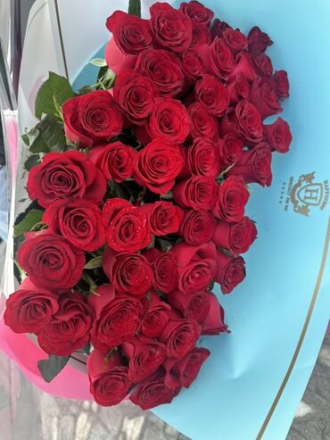шоколадные розы: Букет из алых роз — эффектная композиция в современном оформлении. - lalafo.kg да шоколадные розы: Букет из алых роз — эффектная композиция в современном оформлении. -