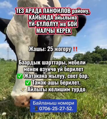 разведение сельскохозяйственных животных: Талап кылынат Малчы, Төлөм Келишим түрдө, Окутуу