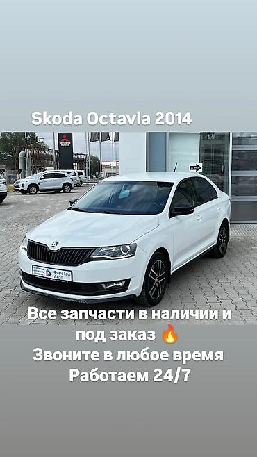 Другие автозапчасти: Skoda Octavia, 2014 - Белый седан, оригинальный дизайн Skoda - — 1