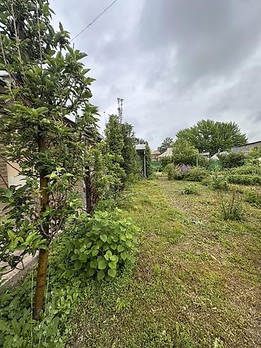 Продажа коттеджей и домов: 📍В Сокулуке от трассы 400м. ул. Восточная продается дом на участке 6 — 6