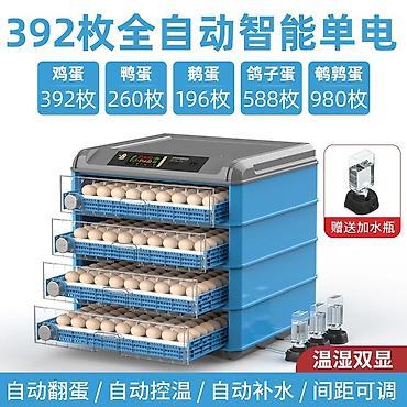 Инкубаторы: Инкубатор для яиц, полностью автоматический, «двойное питание» — 14