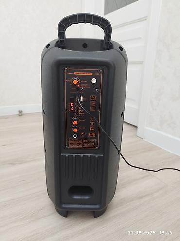 ace pro: Портативная акустическая система T-S CH-6607 - Диаметр динамиков: 2 × — 2