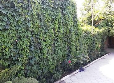 Продажа коттеджей и домов: Ахумбаева / Карла-Маркса Участок: 4,5 сотки Отопление: газовое Все — 13